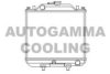 AIXAM 1758072051 Radiator, engine cooling
